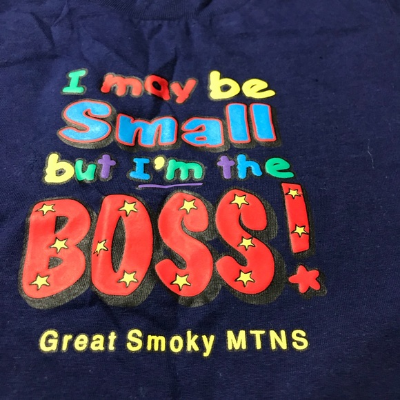 Great Smokey Mtn Blue T-Shirt/3T - Picture 2 of 4